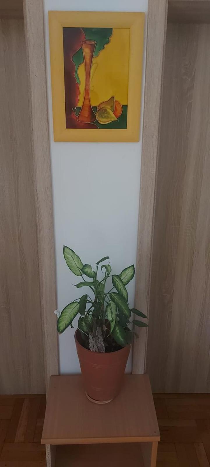 Hostel Poznaň Exteriér fotografie